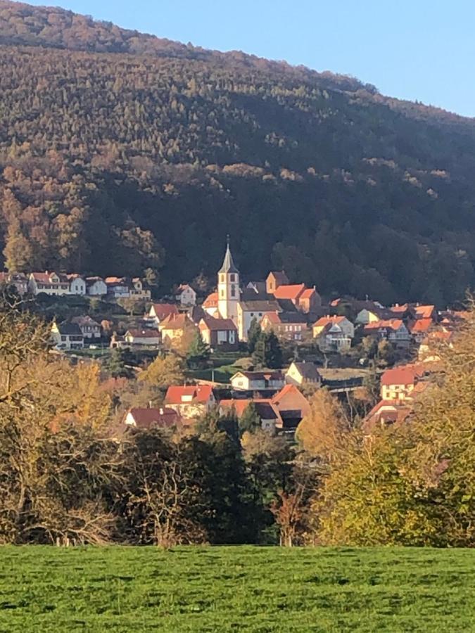 Вилла Gite L'Instant Durable Oberbronn Экстерьер фото